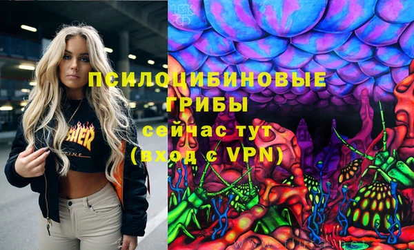 марки nbome Богданович